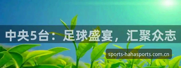为什么体育爱好者都在寻找haha体育官网地址必备入口？